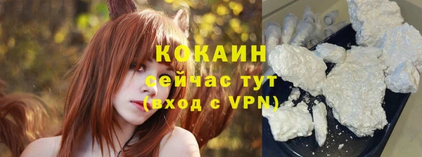 PSILOCYBIN Навашино