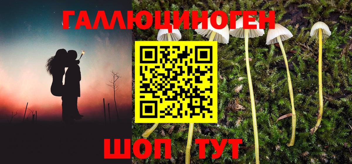 Удомля  Галлюциногенные грибы мухоморы  Вход с VPN 